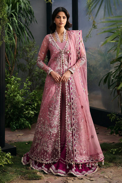Afrozeh | La Fuschia 25 | Seraira