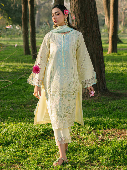 Bin ilyas | Signature Pret 25 | 236 - B | 3 PC Pret