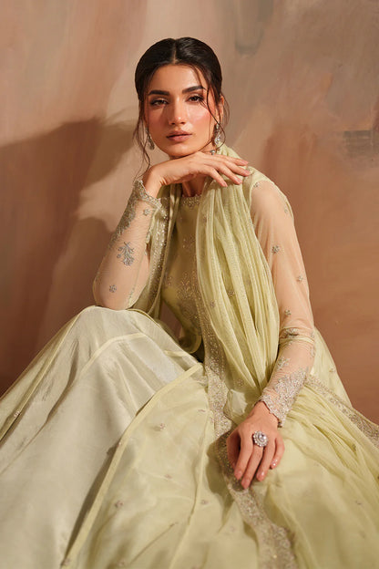 Iznik | Chinon Chiffon | CC-73 Embroidered Net