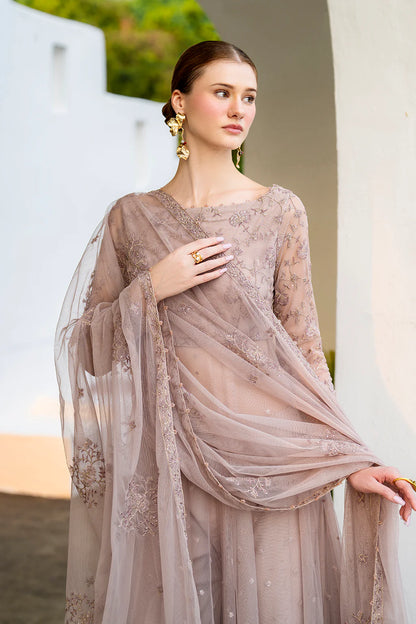 Iznik | Chinon Chiffon | CC-71 Embroidered Net