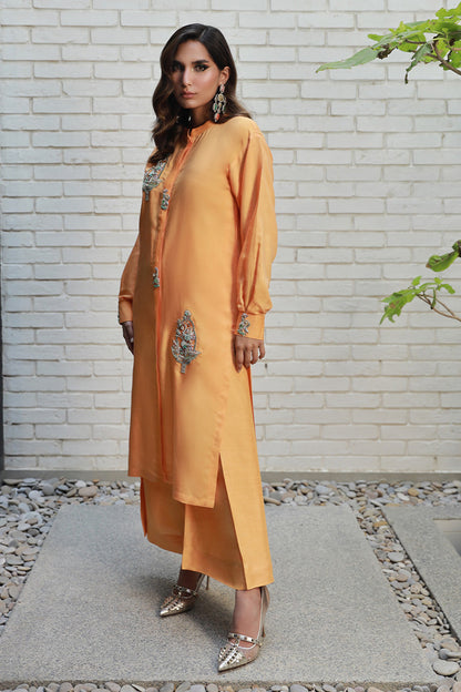 Wardha Saleem | Luxury Pret Traditional Wear | ARZA - House Of Anaya