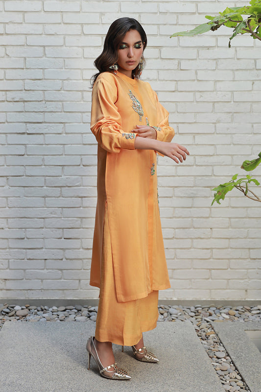 Wardha Saleem | Luxury Pret Traditional Wear | ARZA - House Of Anaya