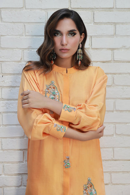 Wardha Saleem | Luxury Pret Traditional Wear | ARZA - House Of Anaya