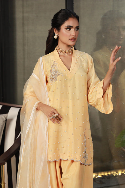 Wardha Saleem | Luxury Pret Traditional Wear | ZARIA - House Of Anaya
