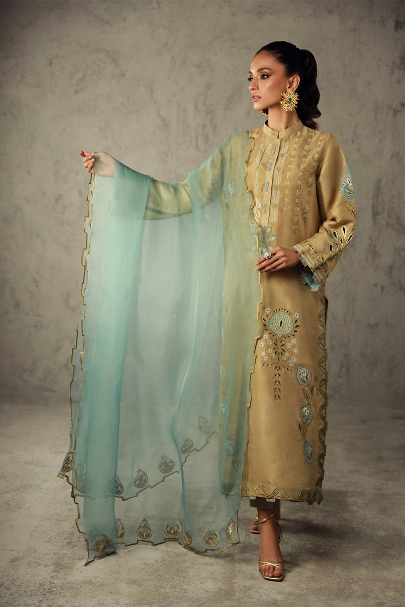 Wardha Saleem | Luxury Pret Traditional Wear | AMANI - House Of Anaya