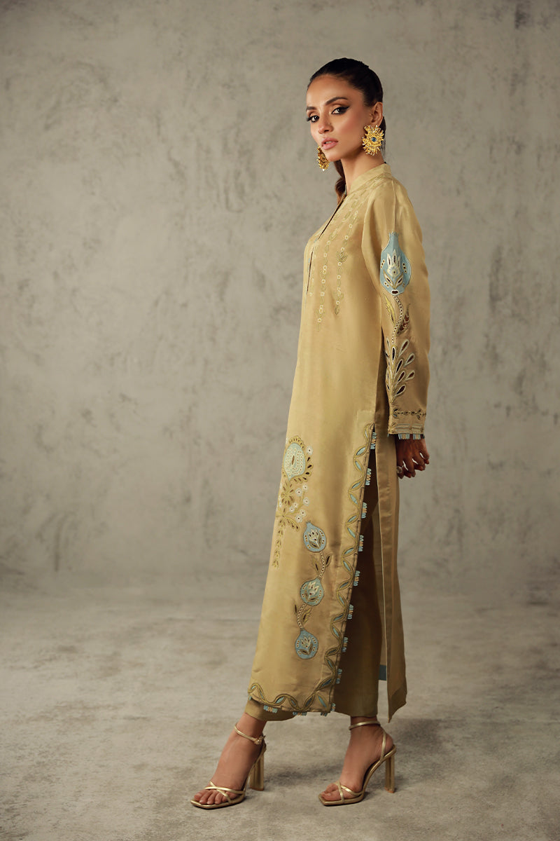 Wardha Saleem | Luxury Pret Traditional Wear | AMANI - House Of Anaya