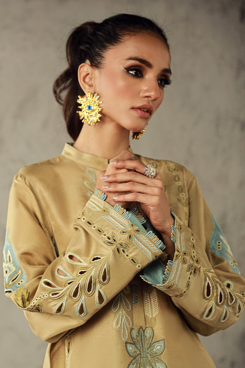 Wardha Saleem | Luxury Pret Traditional Wear | AMANI - House Of Anaya