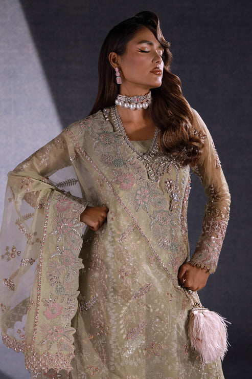 Ezra | Ermina Collection 25 | MUSKAN
