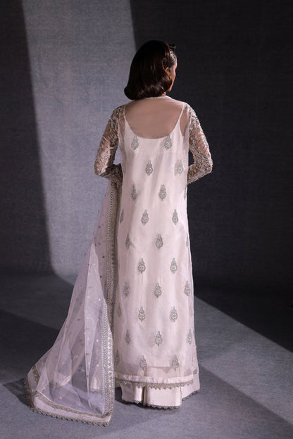 Ezra | Ermina Collection 25 | NOOREH