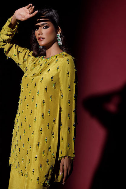 Wardha Saleem | Luxury Pret Fusion Wear | LUXURA (LIME GREEN) CORD-SET (2PC) - House Of Anaya