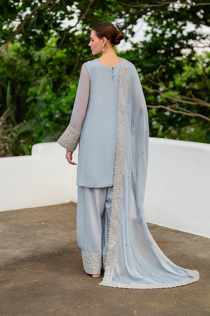 Iznik | Chinon Chiffon | CC-70 Embroidered Chiffon