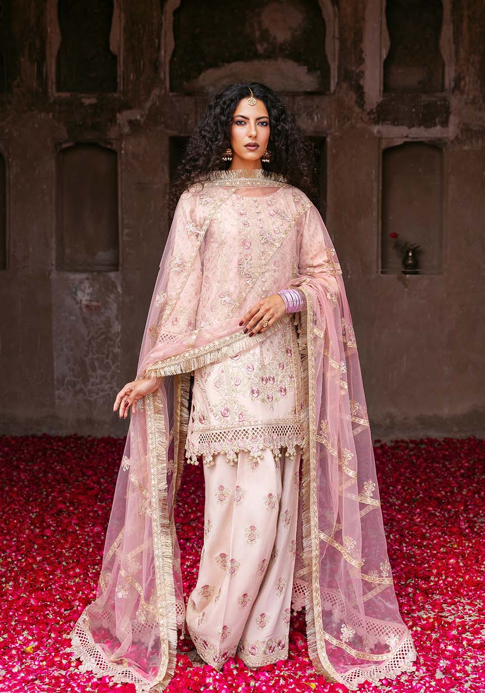 Zarqash | Arzoo Festive Collection | Bahār
