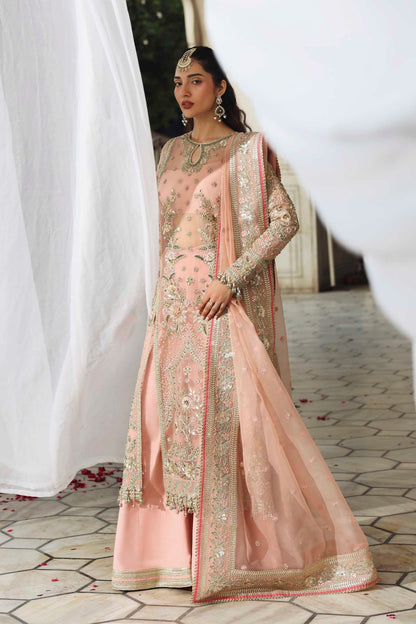 Akbar Aslam | Rang Mahal Formals | Naazi