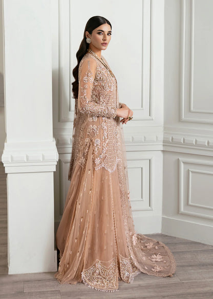 Crimson | CRIMSON X SAIRA SHAKIRA  WEDDING '24 | Stardust - House Of Anaya  