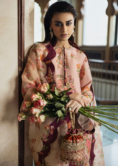 Hussain Rehar | Basic Not Basic | Damask