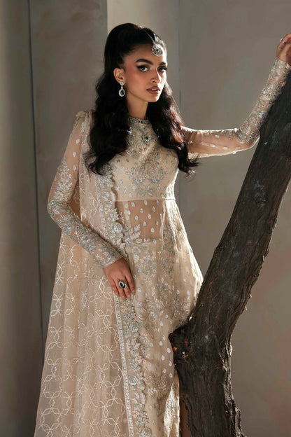 Akbar Aslam | Meeras Luxury Chiffon 25 | Sehrya
