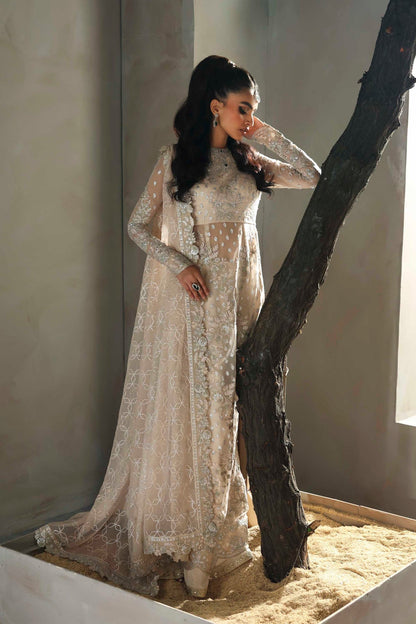 Akbar Aslam | Meeras Luxury Chiffon 25 | Sehrya