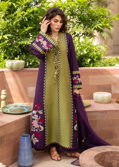 Crimson | MITTI - WINTER PRET '25 | Rani Vogue(Plum)