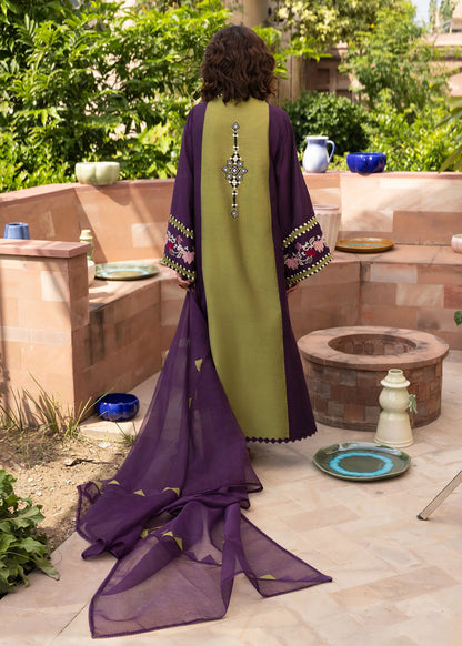 Crimson | MITTI - WINTER PRET '25 | Rani Vogue(Plum)