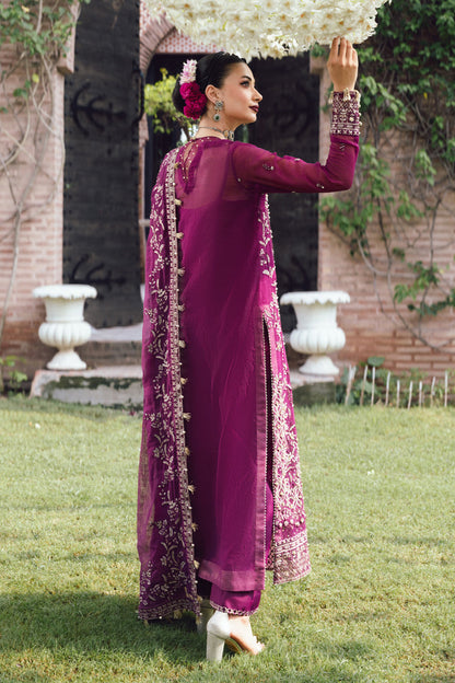 Rangrasiya | Wedding Formals 25 | Nimir