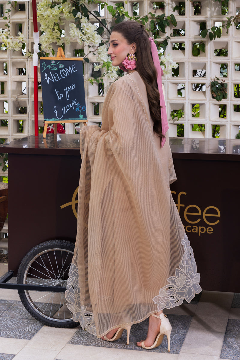 Rangrasiya | Carnation Luxury Festive Edit 25 | Kaia