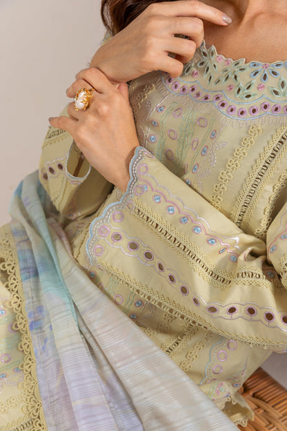 Rangrasiya | Carnation Luxury Festive Edit 25 | Nora