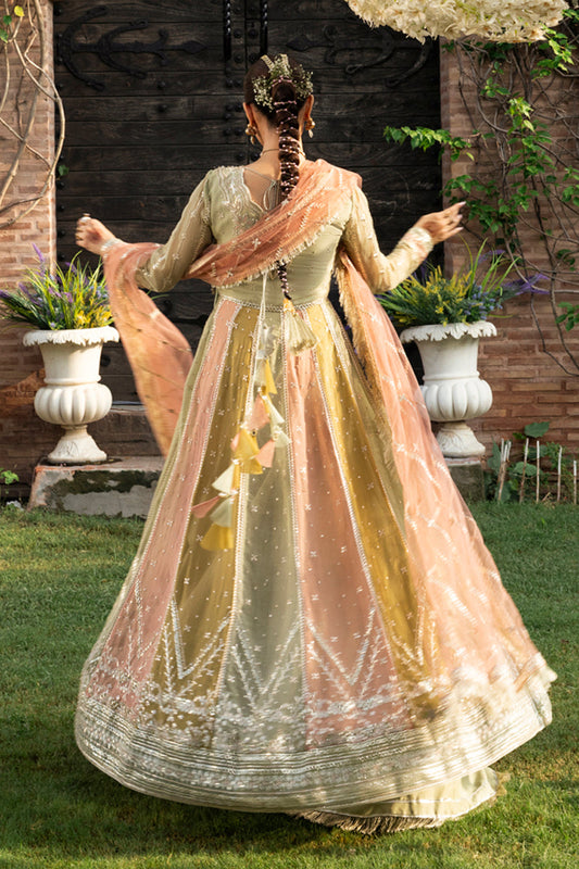 Rangrasiya | Wedding Formals 25 | Amil