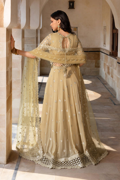 Rangrasiya | Chiffon Formals | Zaiena