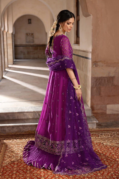 Rangrasiya | Chiffon Formals | Aaliyah