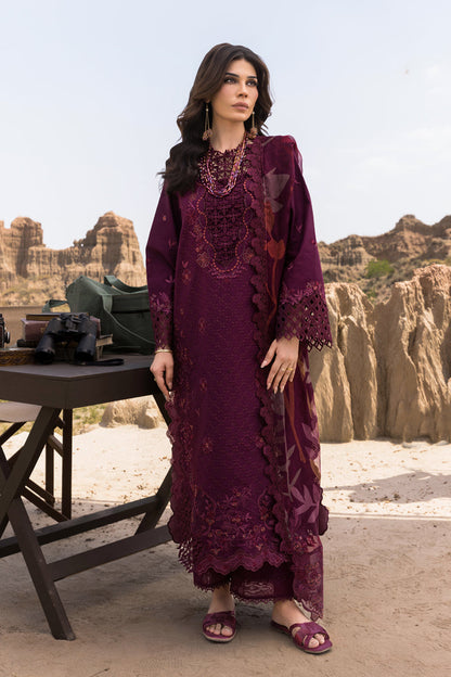 Rangrasiya | Premium Eid Edit 25 | Amyra