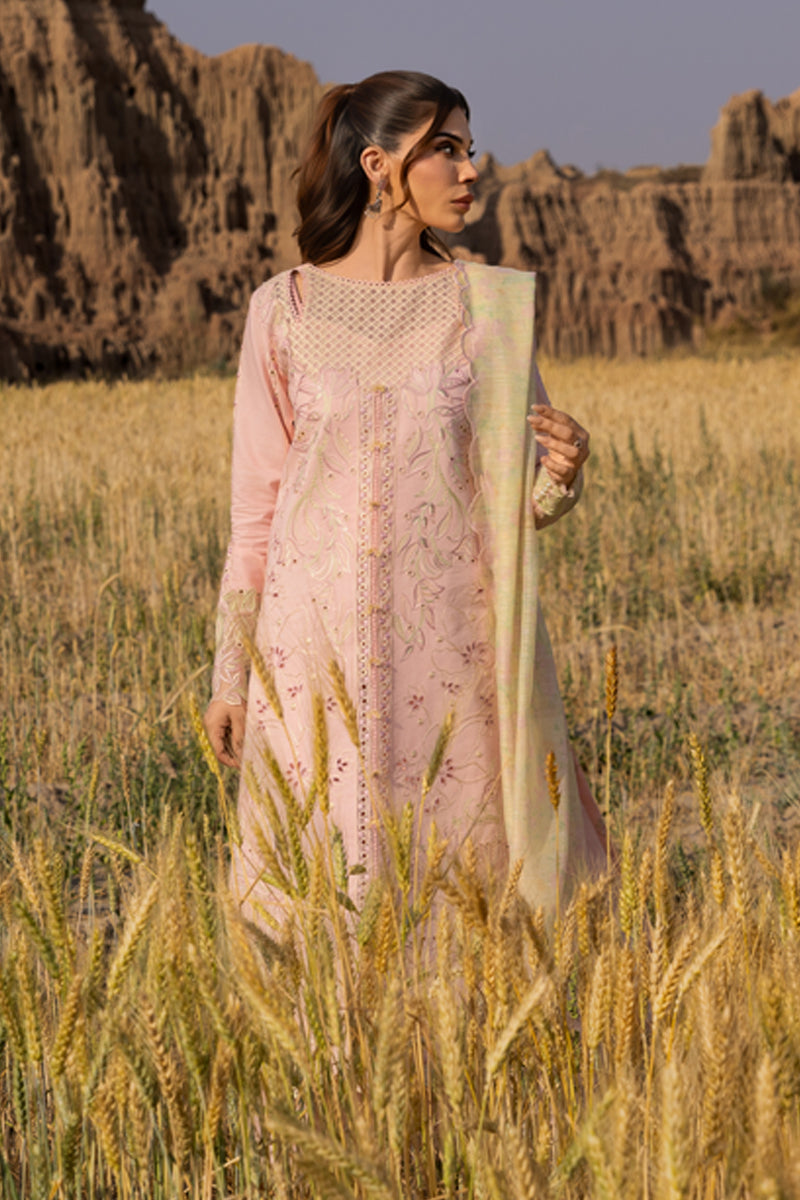 Rangrasiya | Premium Eid Edit 25 | Nehal