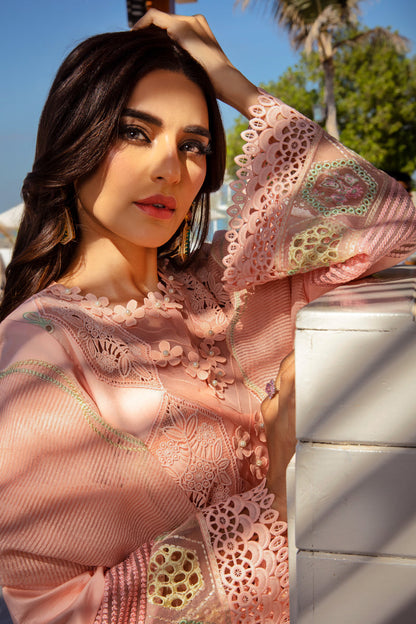 Rangrasiya | Premium Summer Lawn 25 | Bareeha