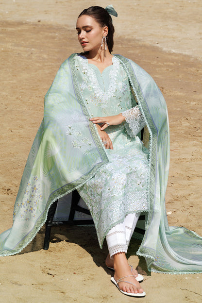 Farasha | Printed Essentials | Tulip Glow