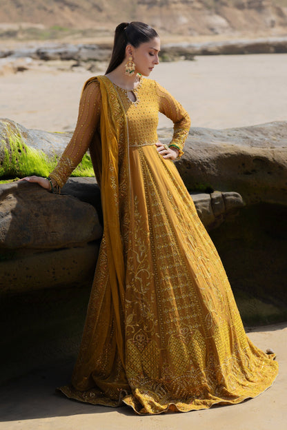 Naqshi | Sahil Kinaray | AINARA - House Of Anaya