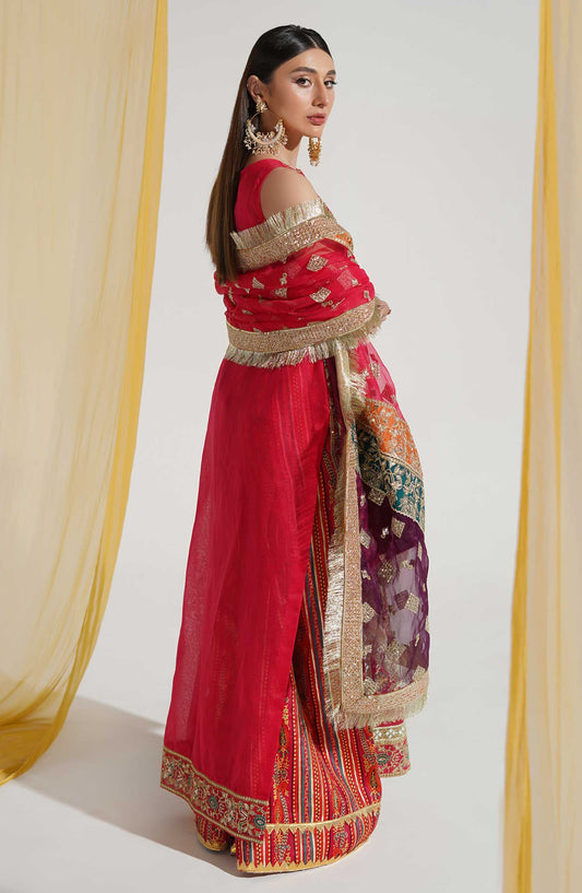 Maryum N Maria | Luxury Formals | FORMAL DRESS - PARAS (FFD-0100)