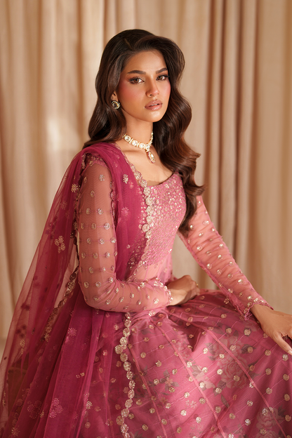 Iznik I Festive Formal I CC-72 Embroidered Net