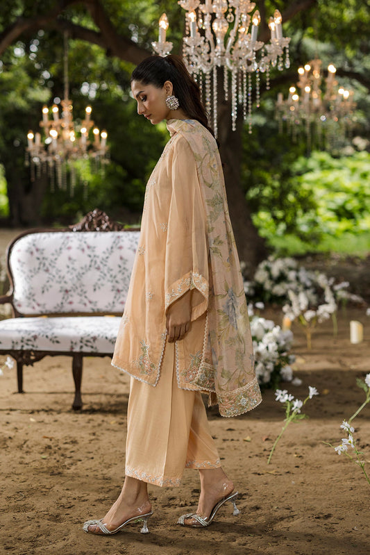 Dhanak | Jardin- Festive Stitched | SS25DU-3207 PEACH 3Pcs