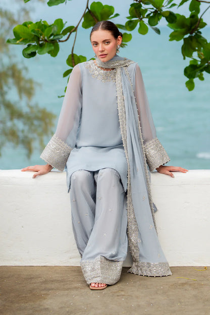 Iznik | Chinon Chiffon | CC-70 Embroidered Chiffon