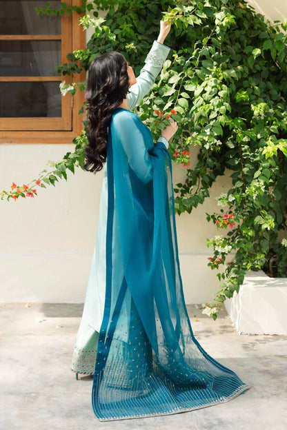 Naqshi | Rijaas Luxury Pret 24 | TANIA - House Of Anaya