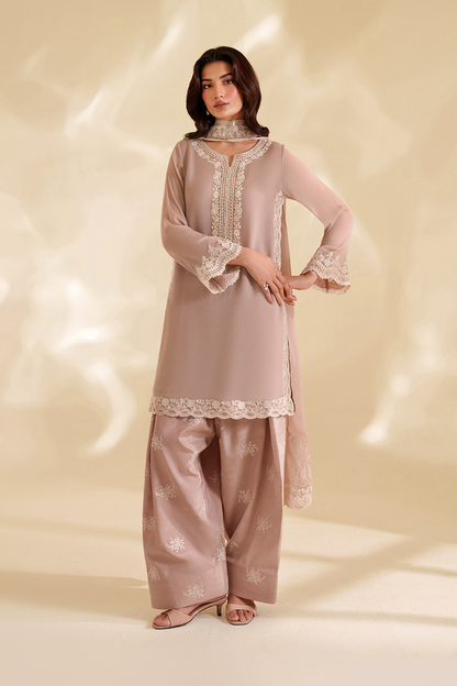 Iznik I Festive Formal I CC-79 Embroidered Chiffon