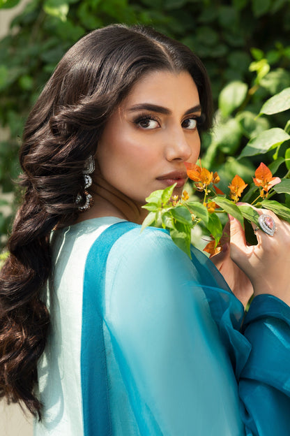 Naqshi | Rijaas Luxury Pret 24 | TANIA - House Of Anaya