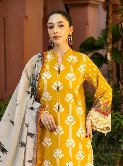 Zainab Chottani | Chikankari 25 | Aanya - 4A - House Of Anaya