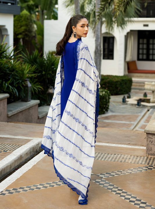 Zainab Chottani | Chikankari 25 | Sia - 11B - House Of Anaya