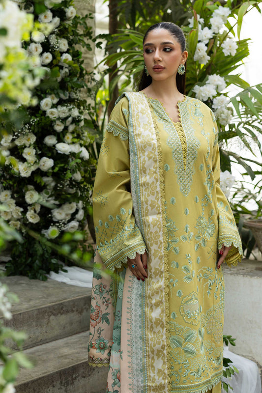 Akbar Aslam | Pret Lawn | Elysia