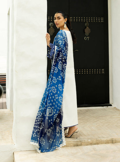 Zainab Chottani | Chikankari 25 | Reem - 8A - House Of Anaya