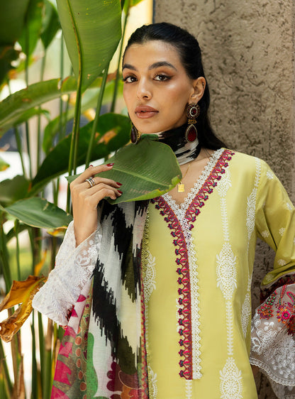 Zainab Chottani | Chikankari 25 | Rayne - 12A - House Of Anaya