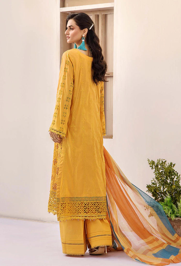 Adans Libas | Alora25 | ALORA 6