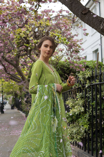 Sobia Nazir | Basics 25 | Design 3A