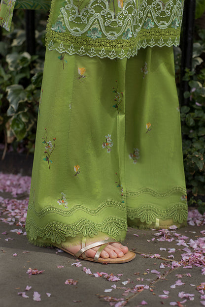 Sobia Nazir | Basics 25 | Design 3A