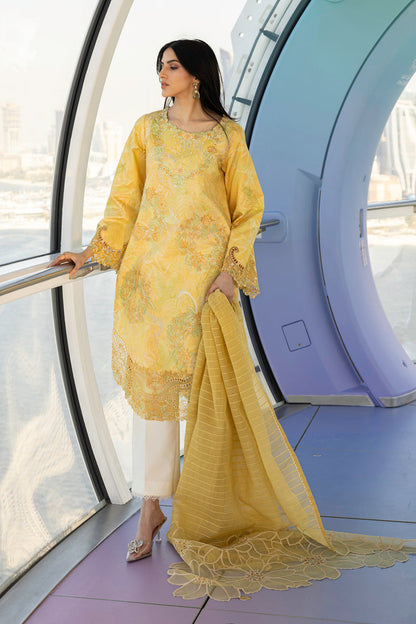 Rangrasiya | Carnation Summer Edit 25 | Liana - House Of Anaya